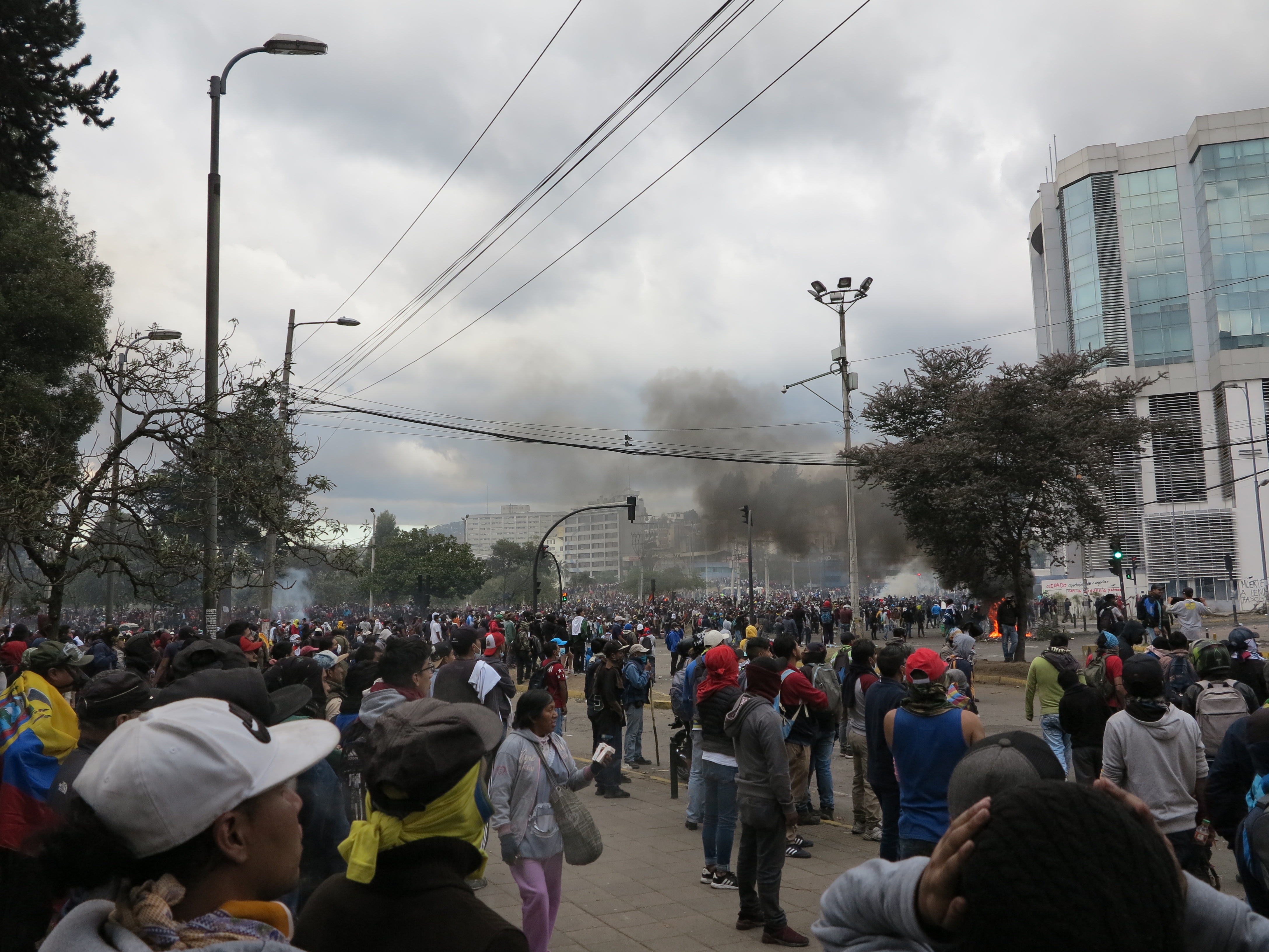 decree 833 Ecuador: movementâs Why the is a victory indigenous decree 833 Ecuador: movementâs Why the is a victory indigenous